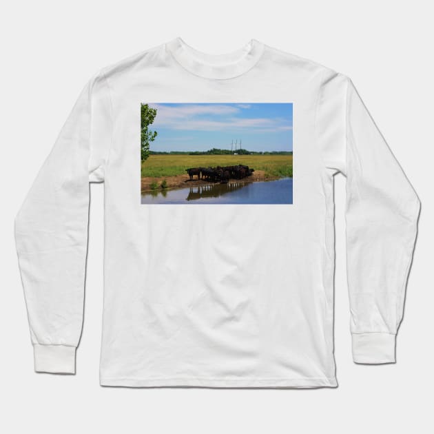 Angus Cow's at the Watering Hole Long Sleeve T-Shirt by ROBERTDBROZEK